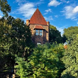 Zdjęcia na zlecenie