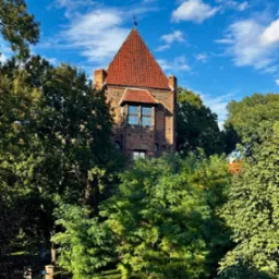 Zdjęcia na zlecenie