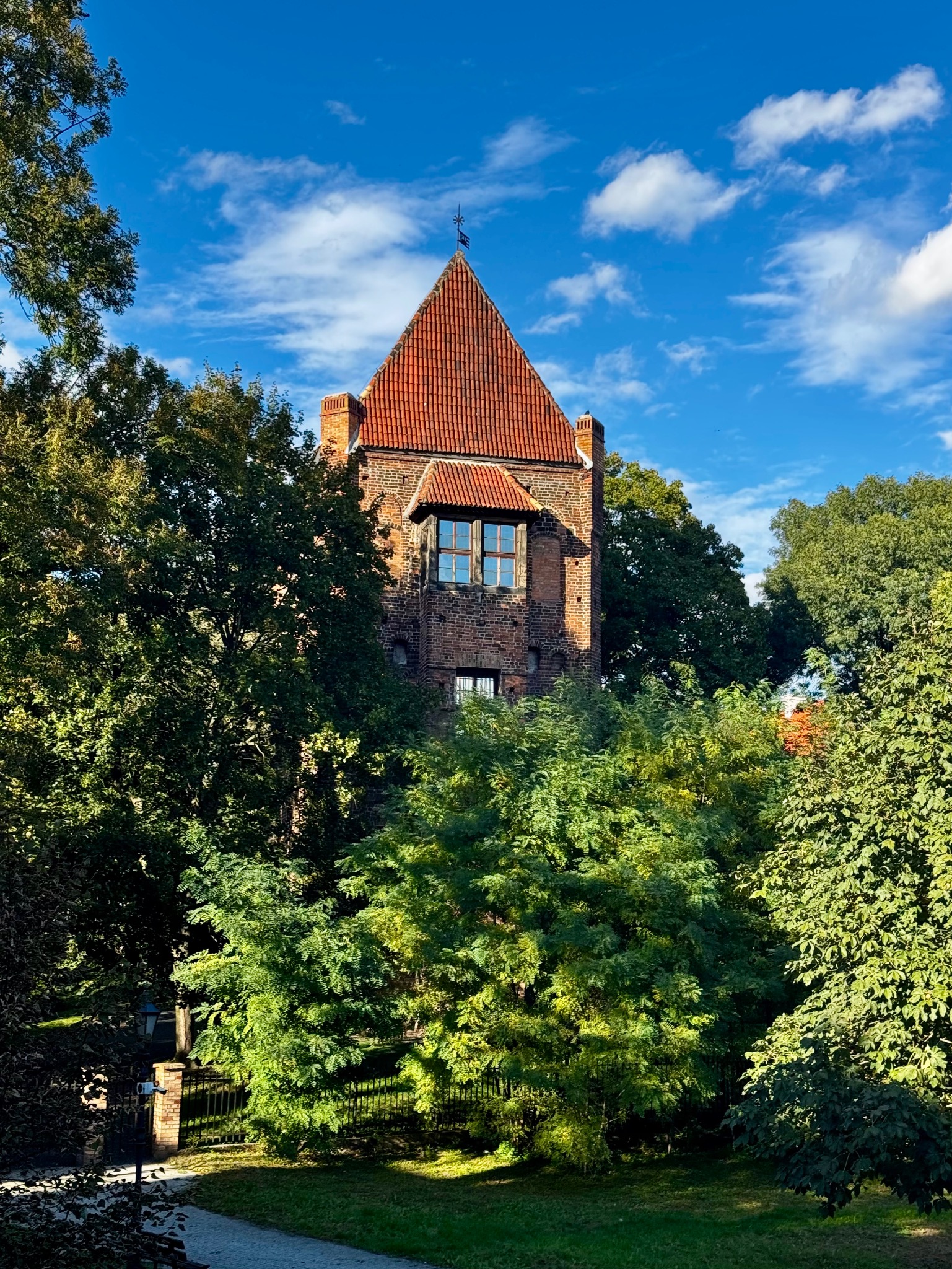 Zdjęcia na zlecenie