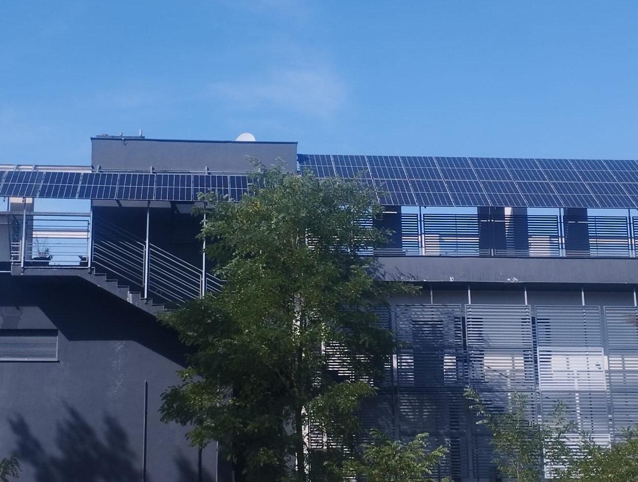 Szary budynek z panelami słonecznymi na dachu, widoczny zza drzewa w słoneczny dzień.