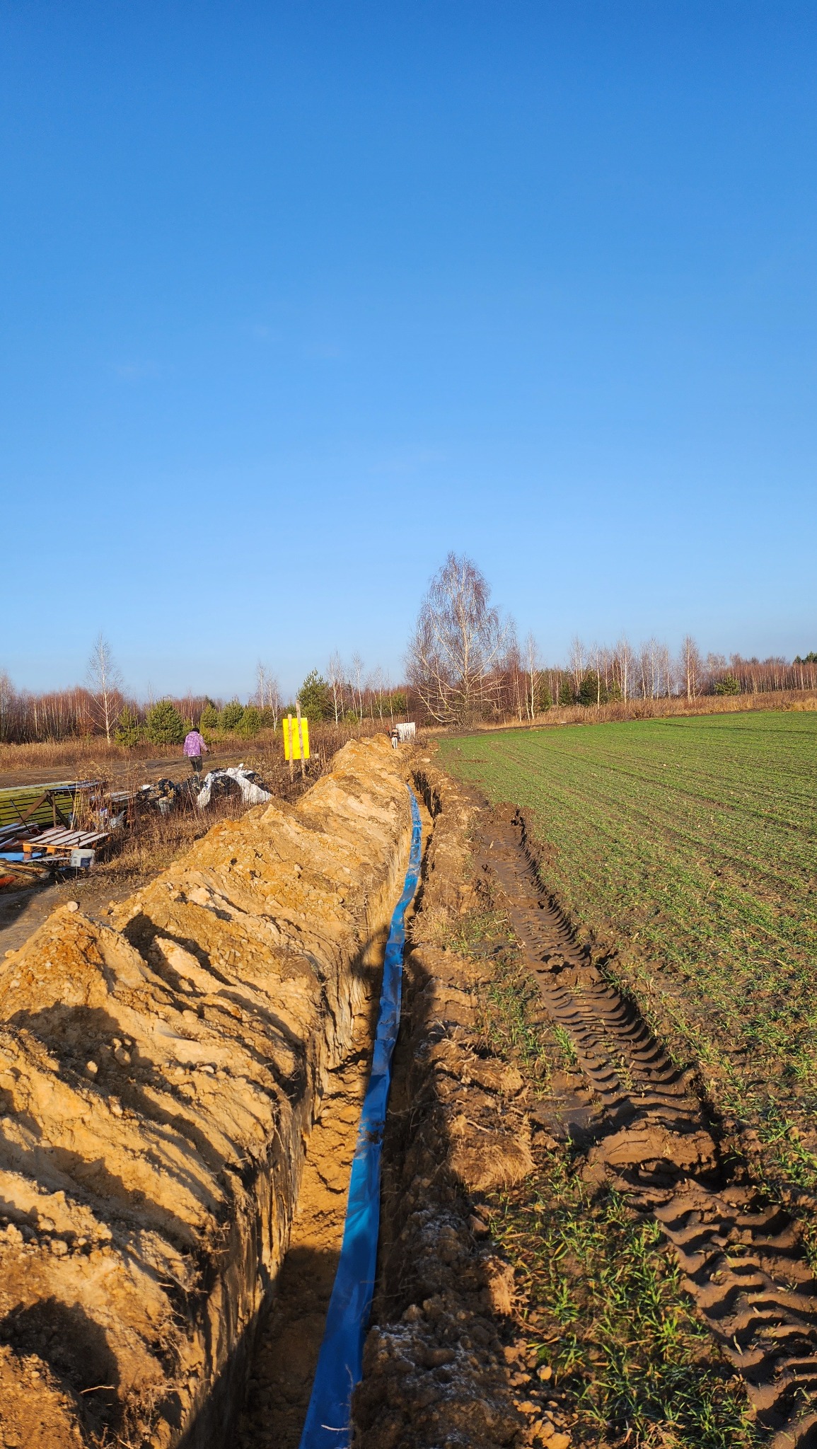 Wykop w ziemi z niebieską rurą na dnie, widoczny fragment pola i las w tle, osoba w oddali.