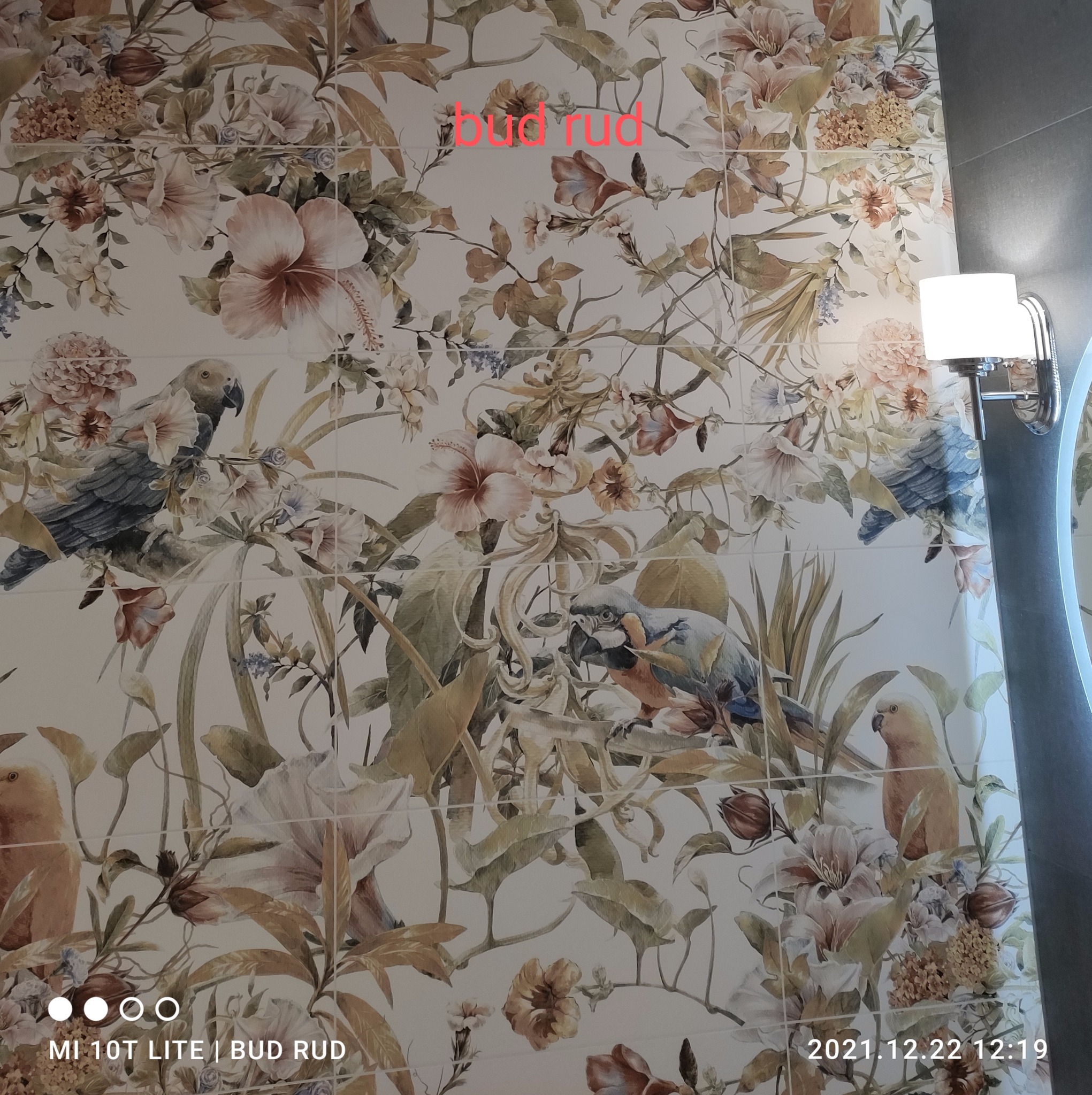 Ściana wyłożona płytkami z motywem kwiatów i papug w łazience, oświetlona lampą, widoczny fragment lustra.