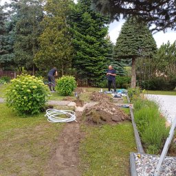 Wycinka drzew Gorzów Wielkopolski 1