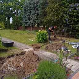 Wycinka drzew Gorzów Wielkopolski 3