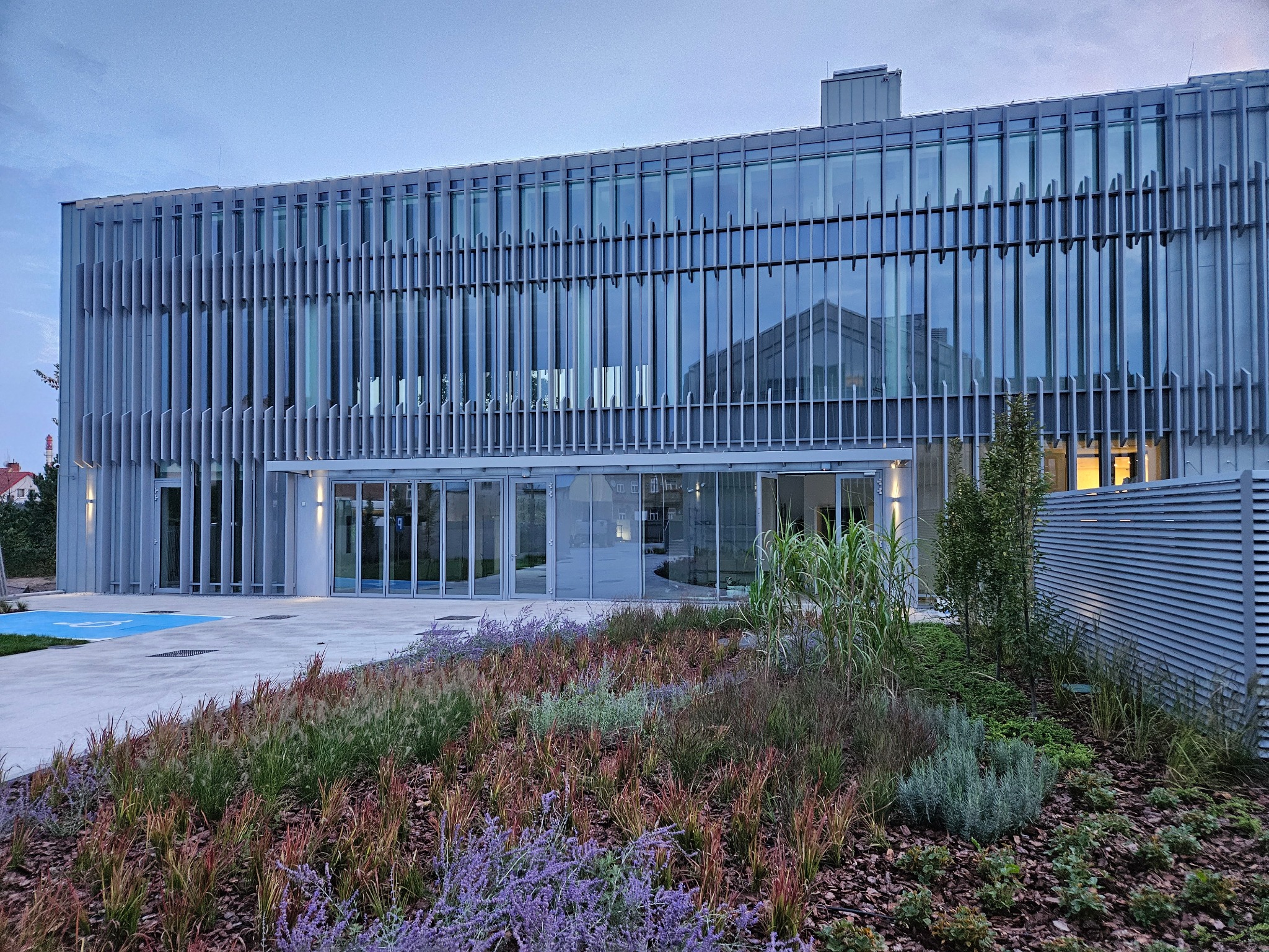Nowoczesny budynek biurowy z przeszkloną fasadą i pionowymi panelami, otoczony ozdobnym ogrodem z kwitnącymi lawendami i trawami, oświetlony wczesnym wieczornym światłem.