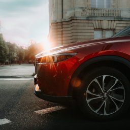 Kamerzysta Szczecin 4