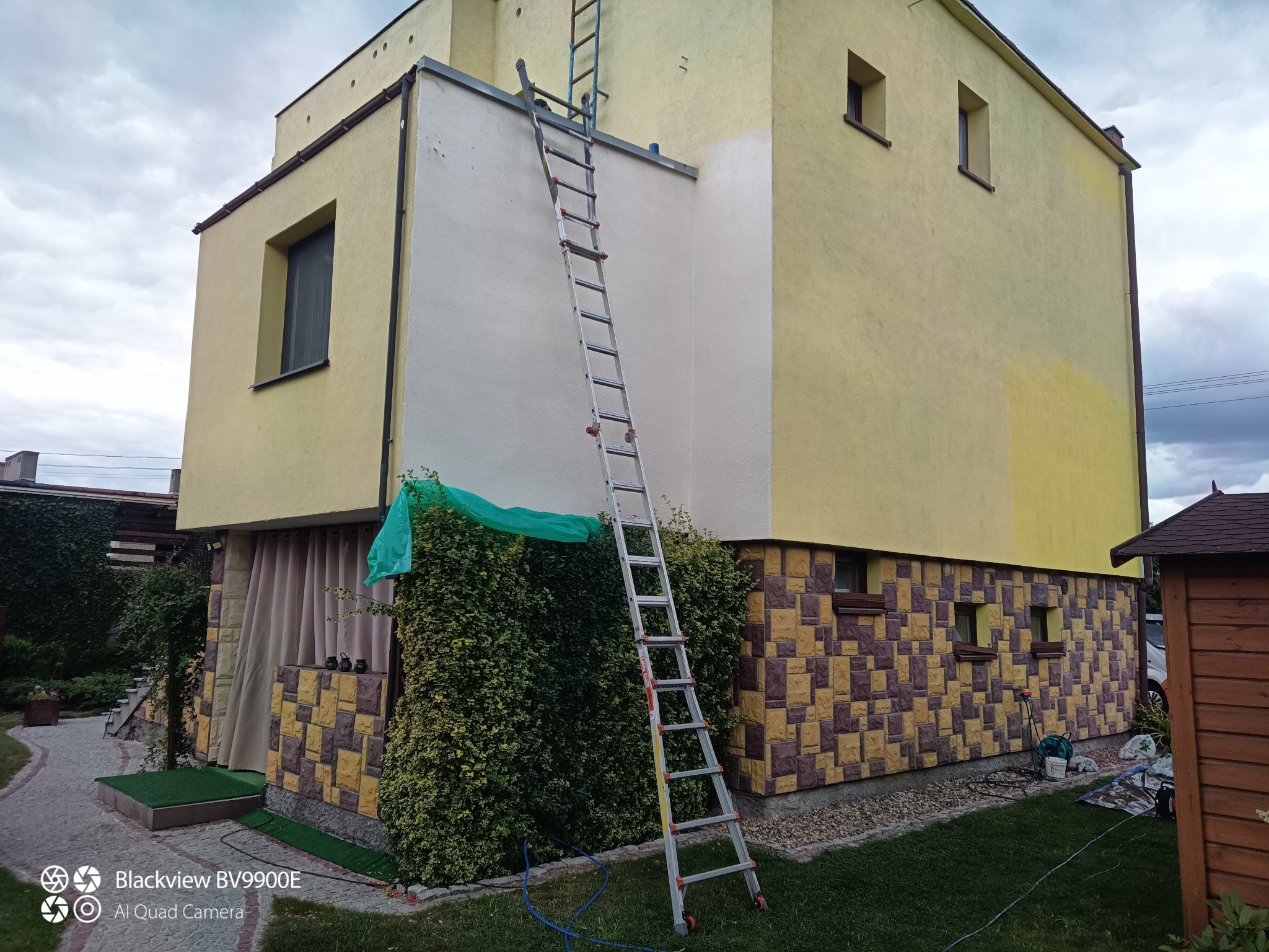 Dwukondygnacyjny budynek z żółtą elewacją i fragmentem pomalowanym na biało, z drabiny, w trakcie prac. Ochrona roślin przy elewacji.