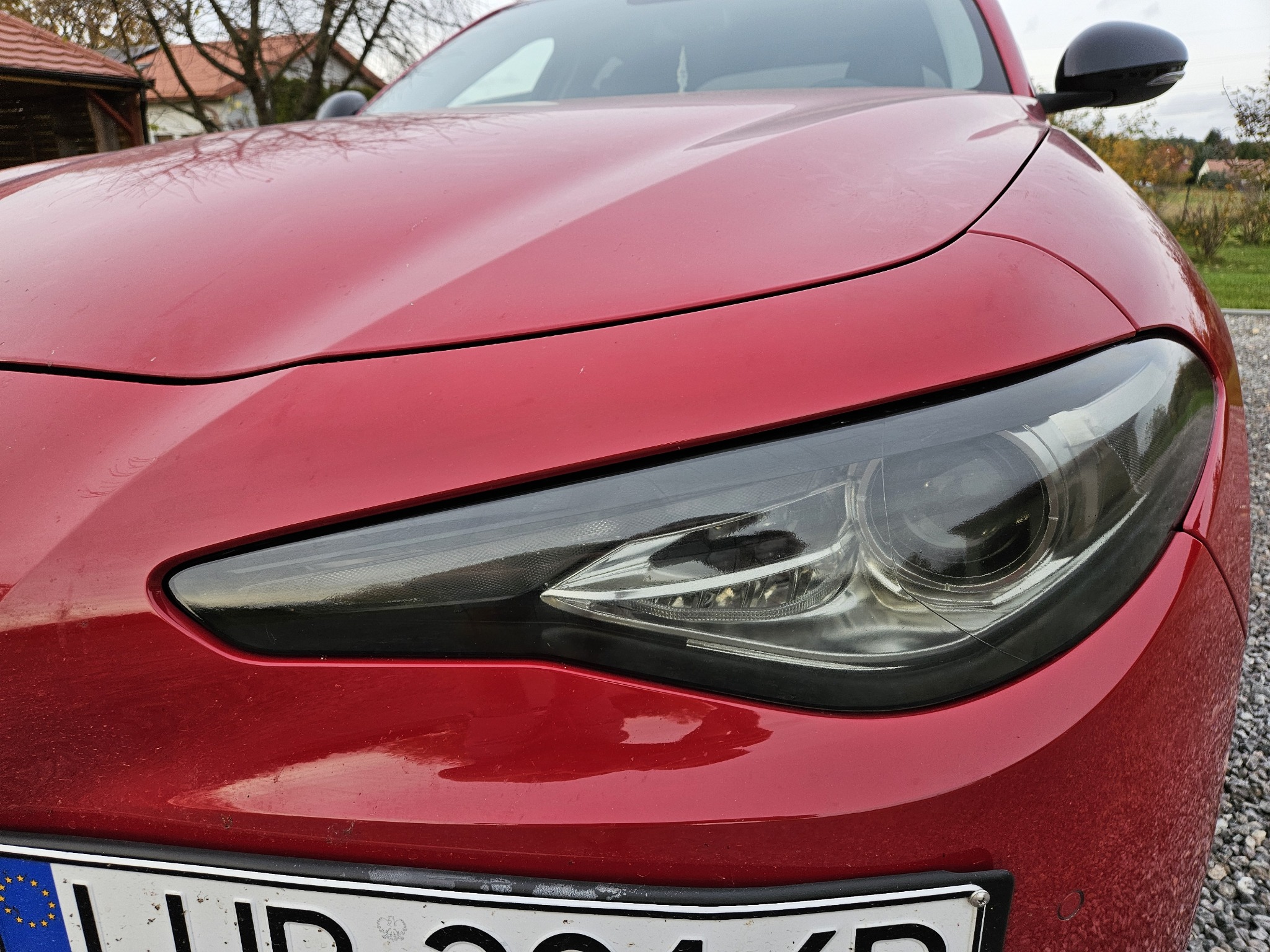 Czerwony samochód marki Alfa Romeo, widok z przodu, z widoczną przyciemnioną przednią lampą, zarys drzew na masce samochodu