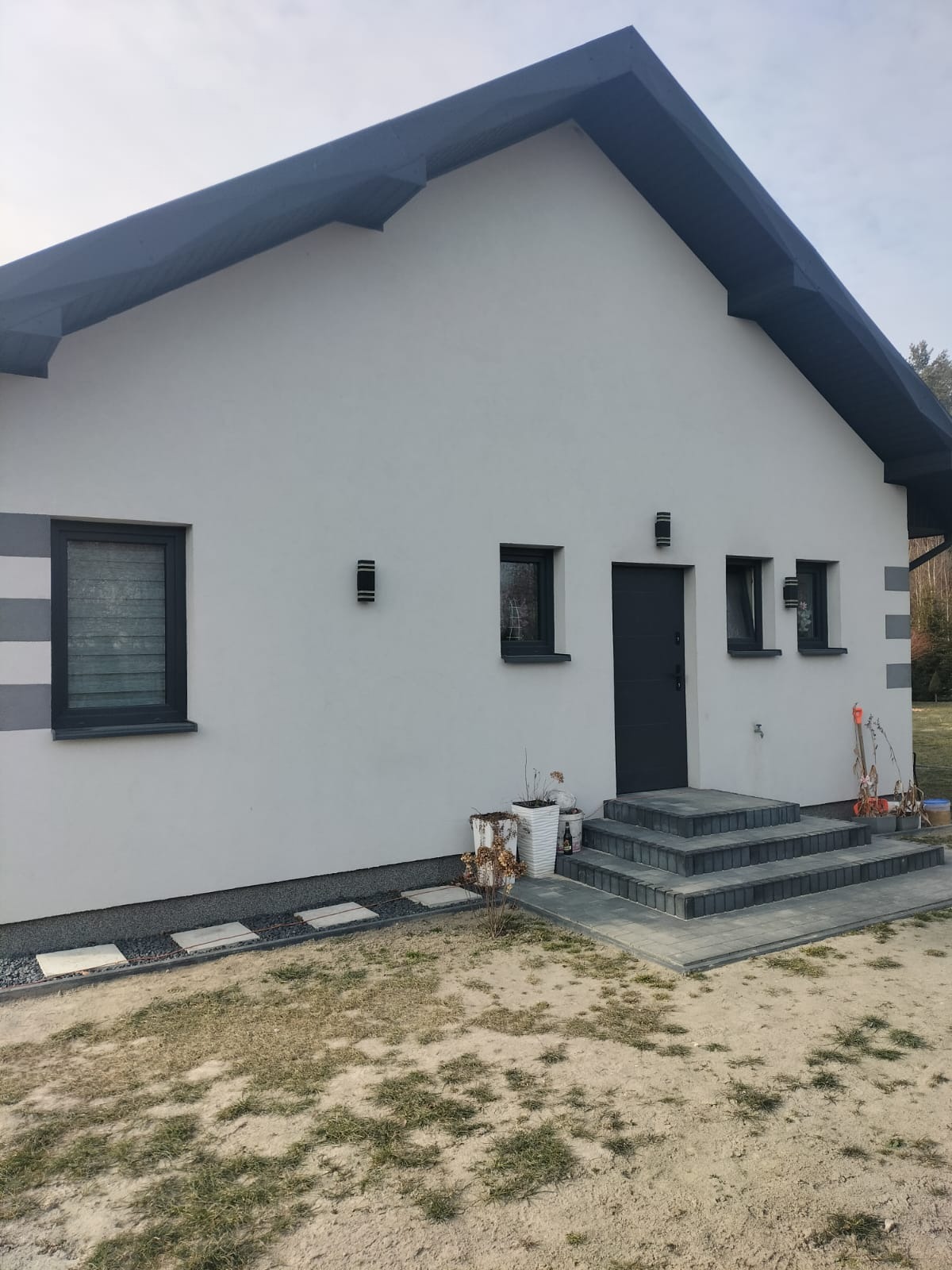 Elewacja domu jednorodzinnego w odcieniach szarości z nowoczesnym oświetleniem zewnętrznym. Widoczne schody wejściowe i fragment ogrodu.