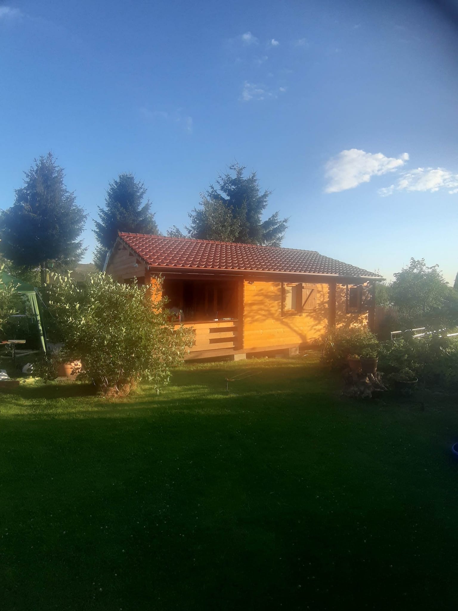 Drewniany domek letniskowy z czerwonym dachem z dachówki bitumicznej, otoczony zielenią drzew i trawnikiem w słoneczny dzień.