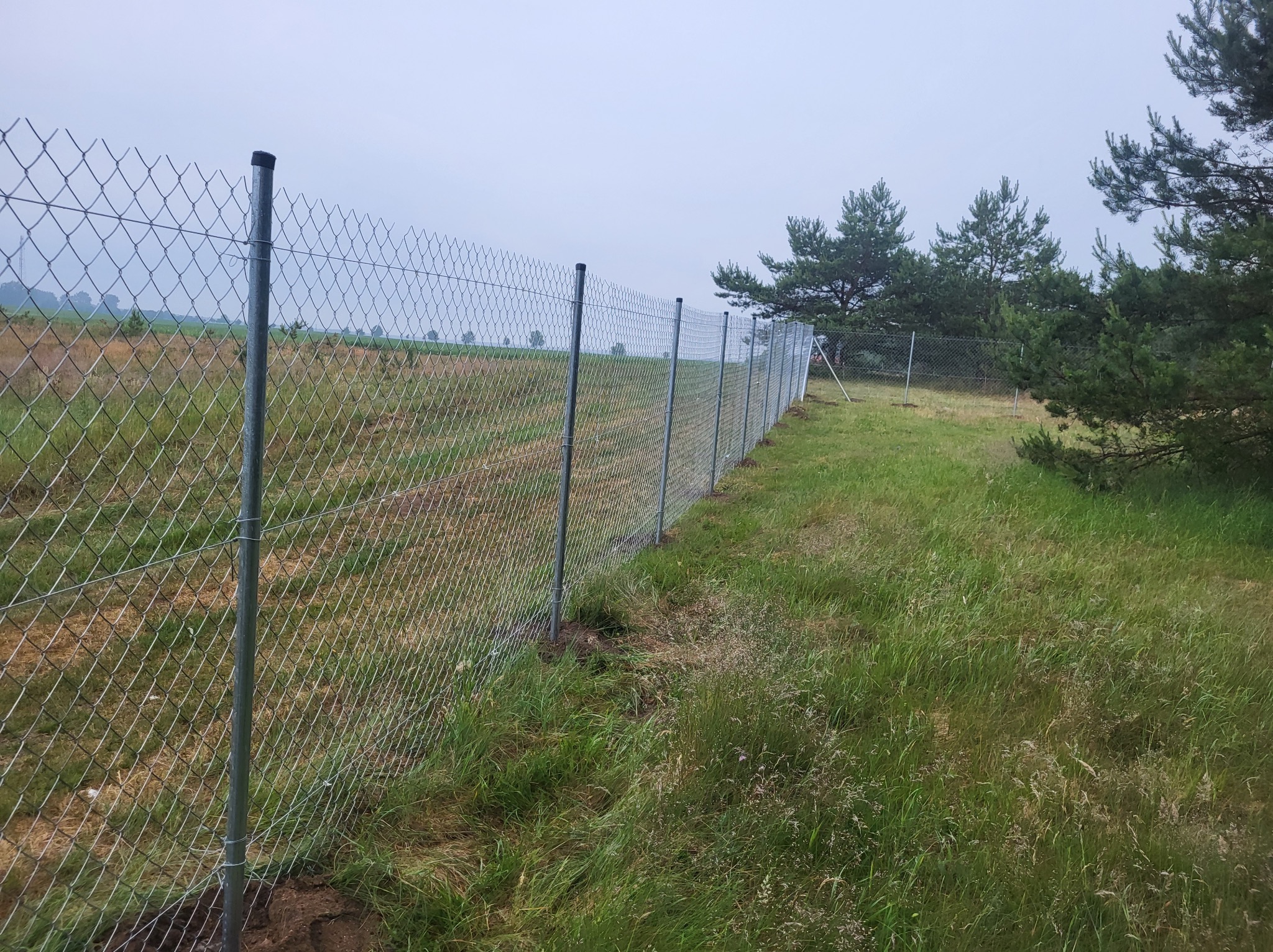 Długi, metalowy płot z siatki w Równie, oddzielający pole od łąki. Słupki z czarnymi zaślepkami. W tle drzewa i pochmurne niebo.
