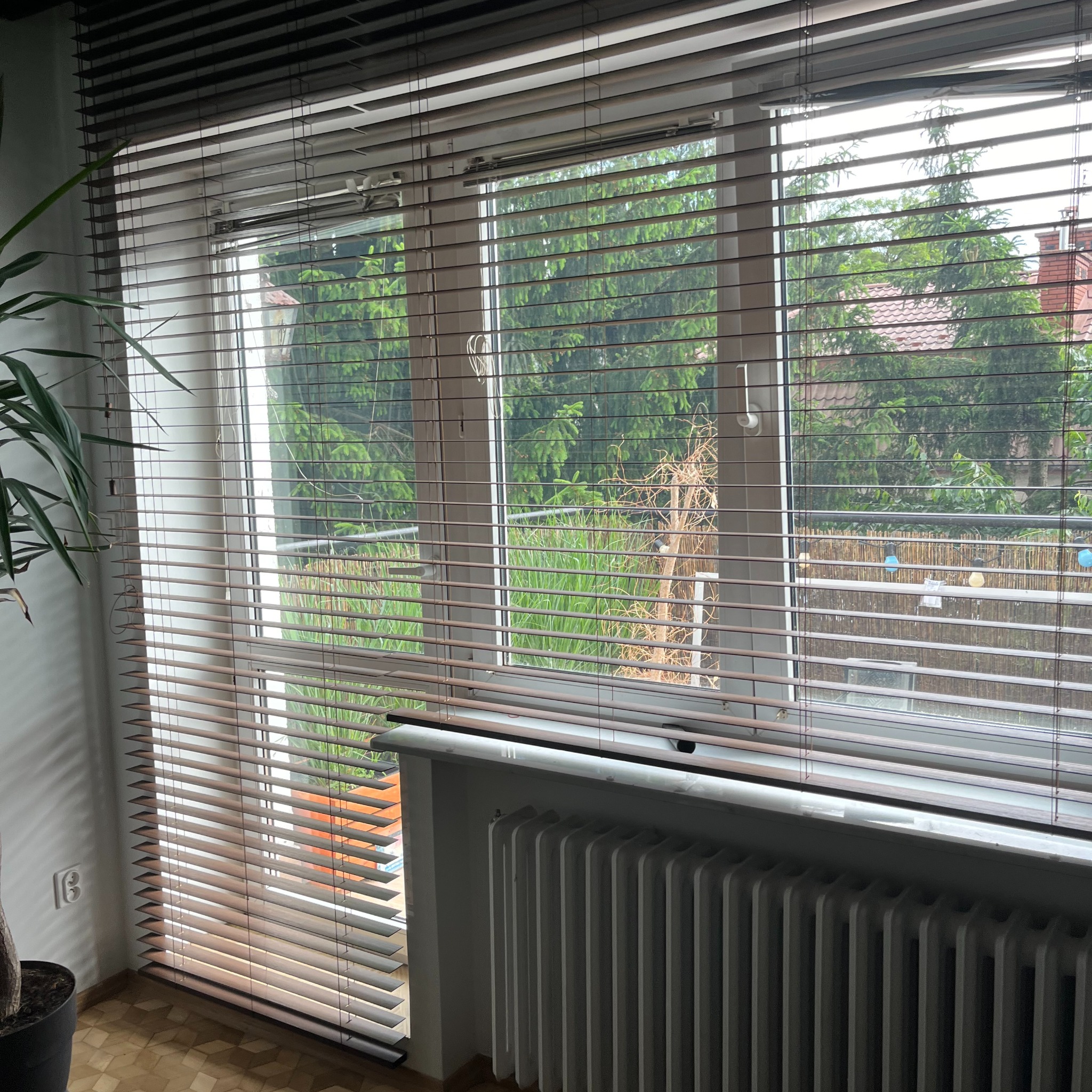 Drewniane żaluzje poziome w oknie z widokiem na ogród z drzewami i domem w tle, z częściowo odsłoniętym grzejnikiem pod oknem i rośliną doniczkową po lewej stronie.