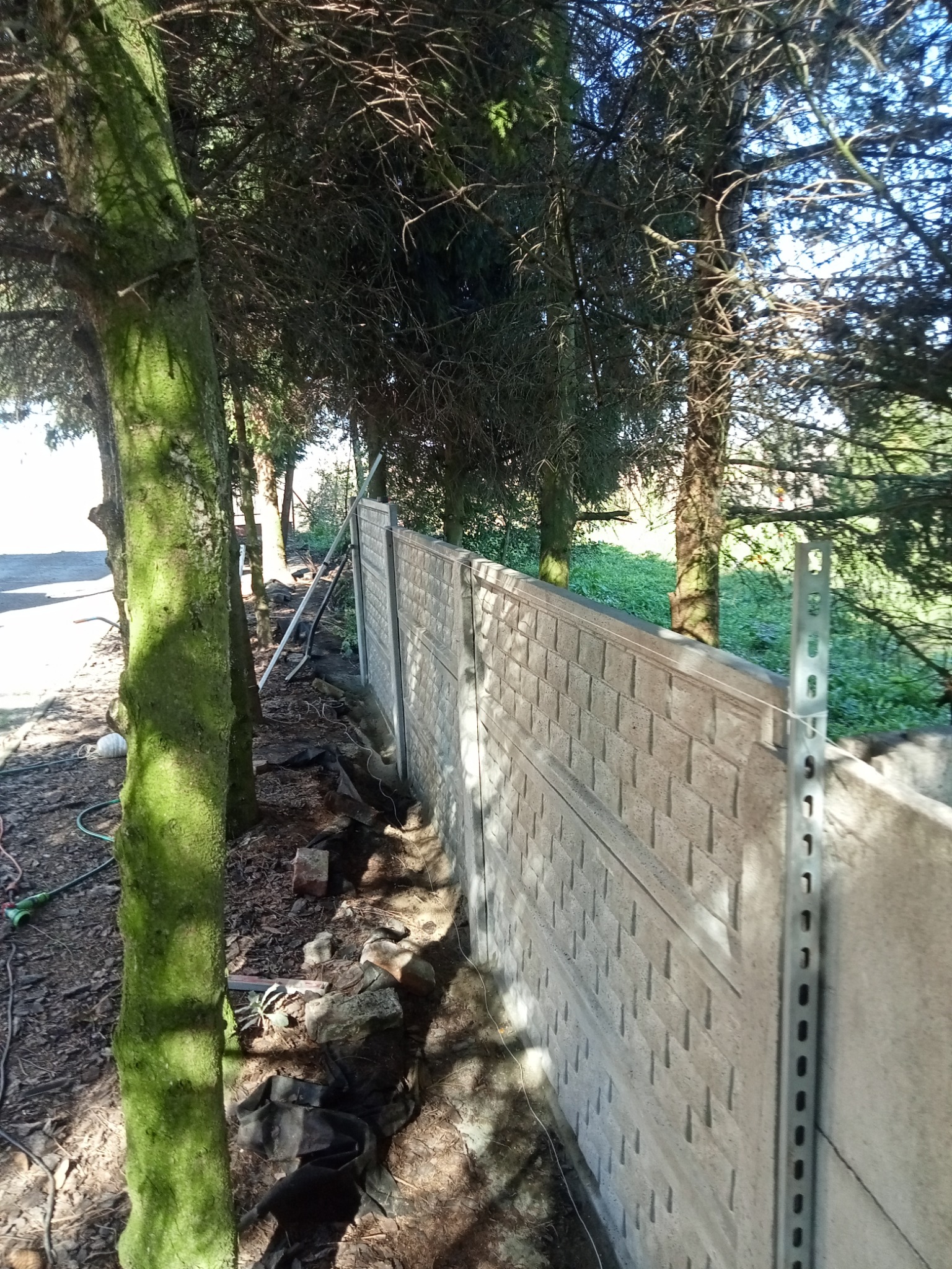 Montaż betonowego ogrodzenia panelowego w terenie leśnym, widoczne słupki montażowe i fragmenty wykopu.