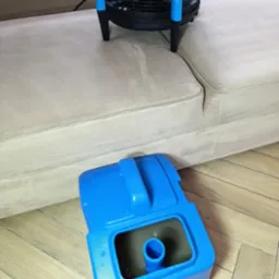 Elektryczny wentylator podłogowy suszy jasną kanapę po czyszczeniu, obok widoczny pojemnik na brudną wodę z maszyny czyszczącej.