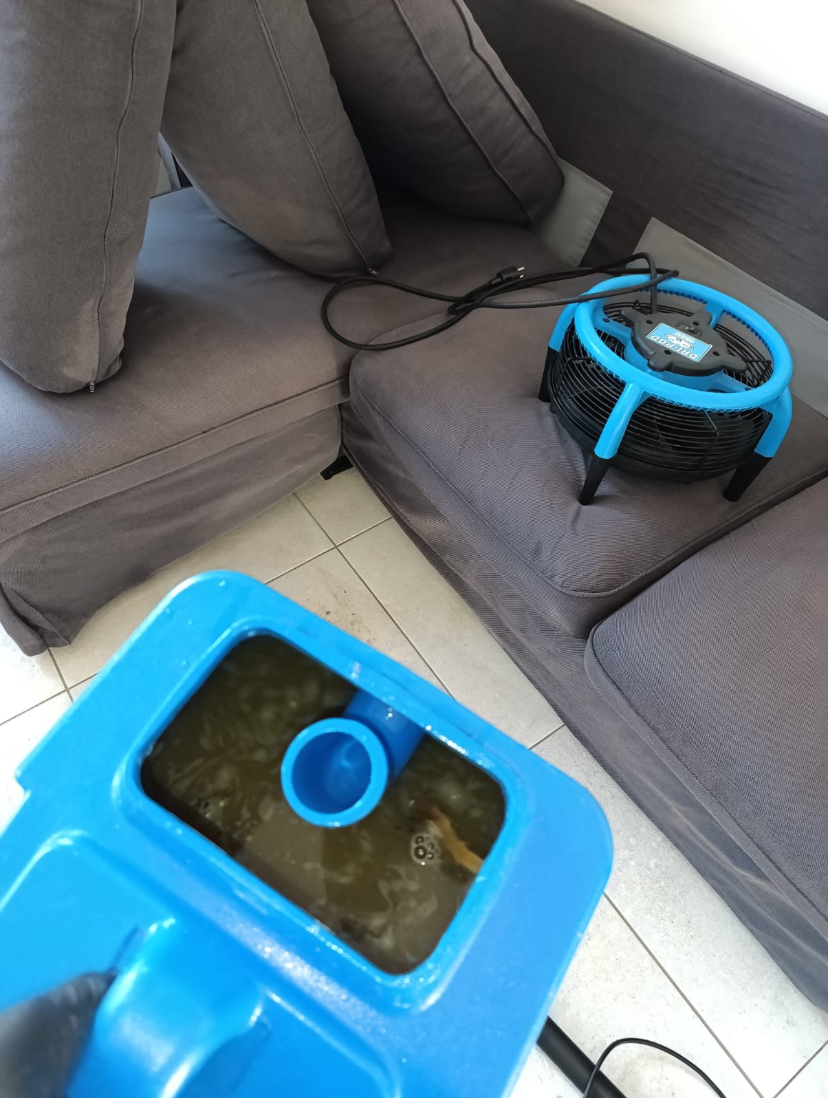 Szaro-grafitowa sofa z poduszkami, obok niebieski wentylator osuszający i pojemnik z brudną wodą po czyszczeniu, widoczny fragment podłogi z płytek.