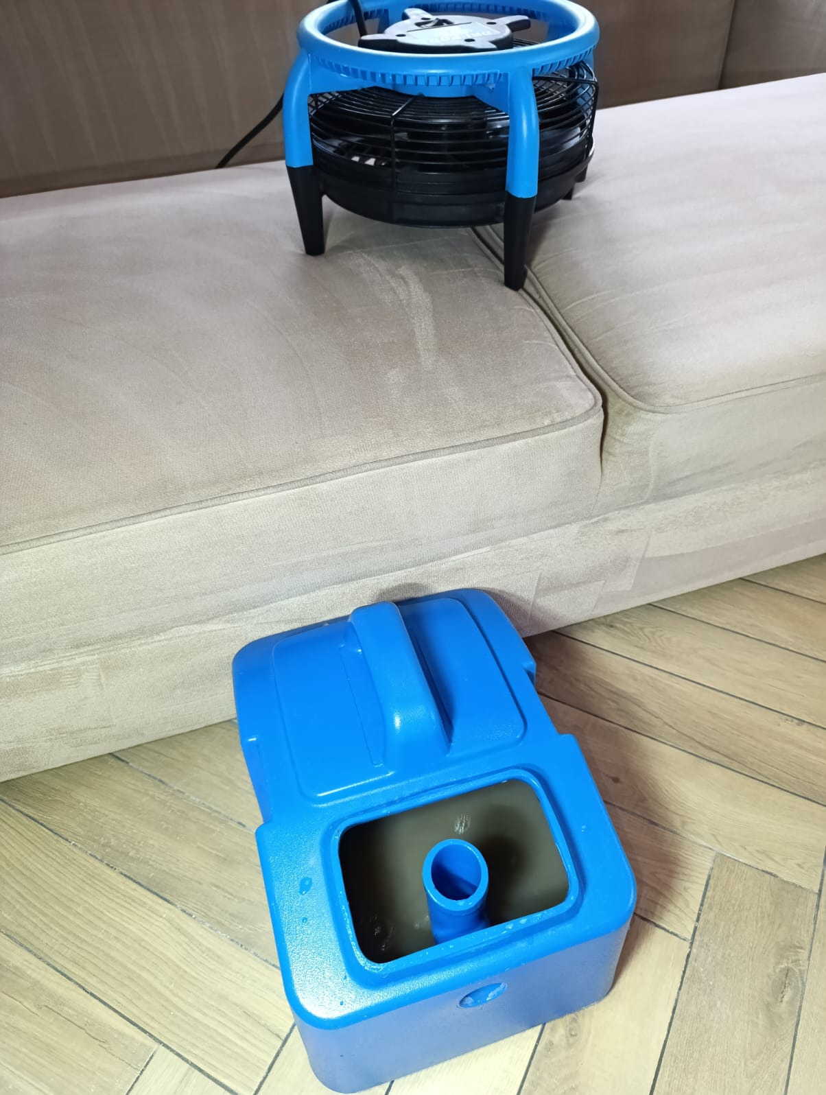 Elektryczny wentylator podłogowy suszy jasną kanapę po czyszczeniu, obok widoczny pojemnik na brudną wodę z maszyny czyszczącej.