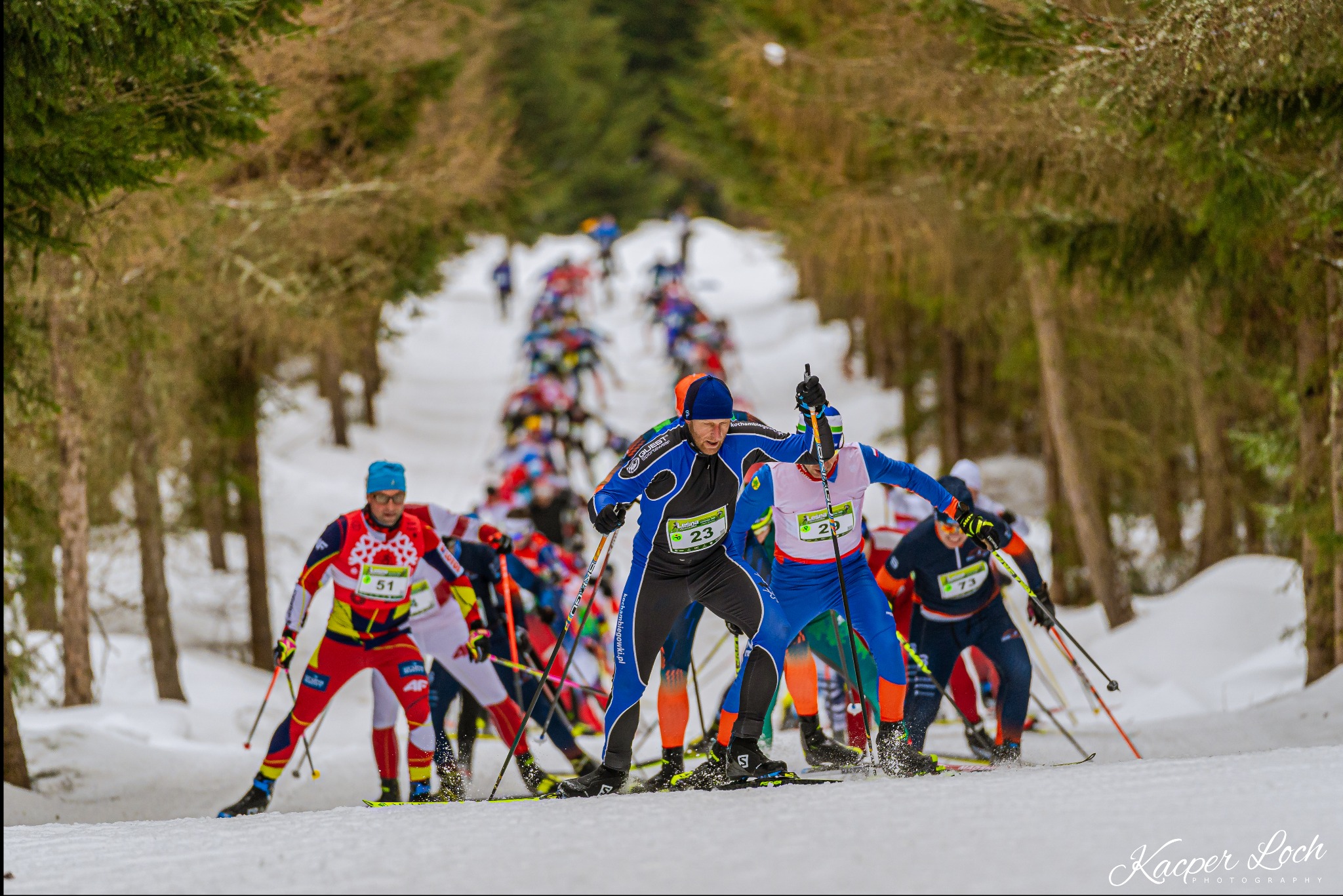 Grupowe ujęcie narciarzy biegowych w kolorowych strojach startujących w zawodach na ośnieżonej trasie leśnej, z numerami startowymi na piersiach.