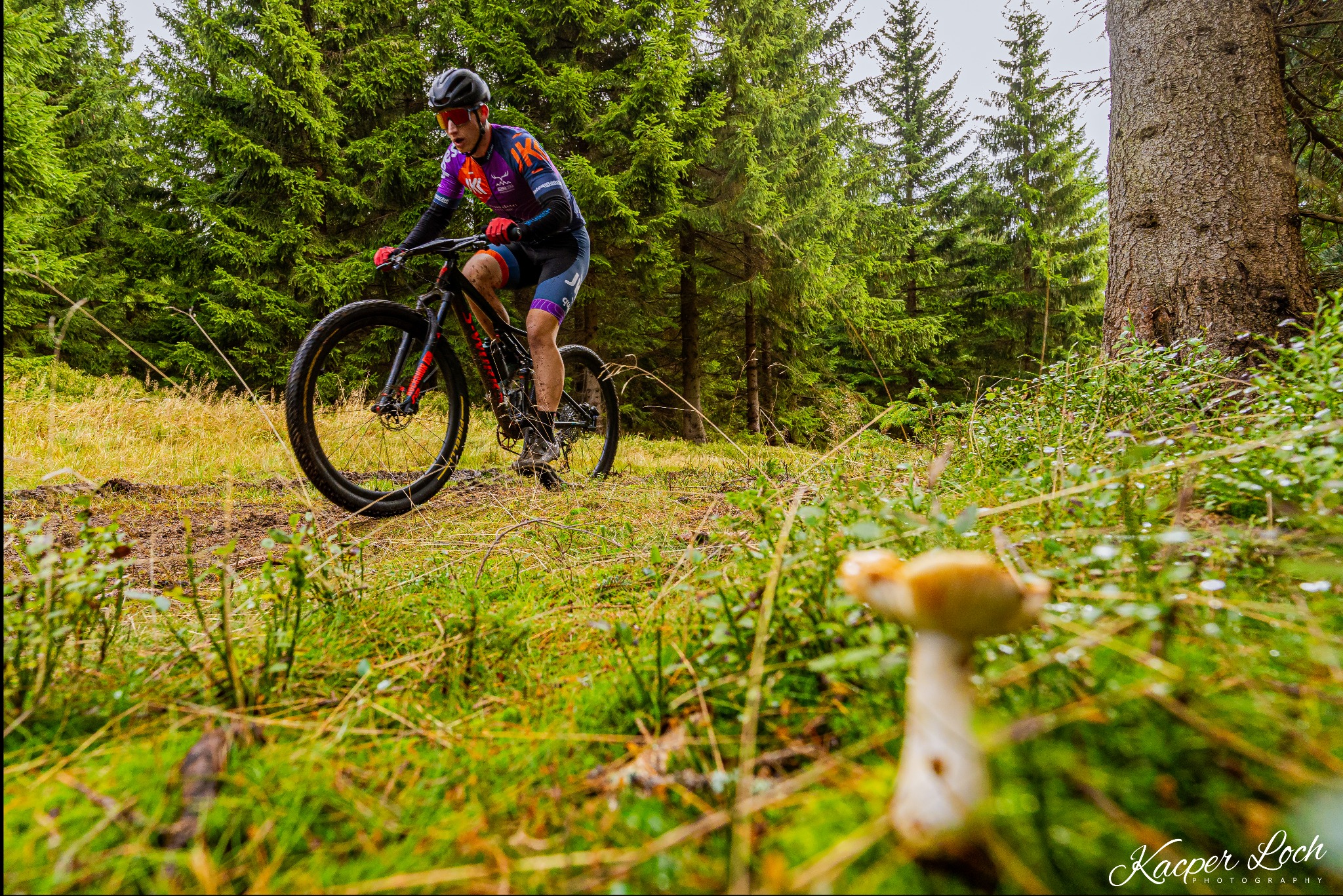 Rowerzysta górski w kasku i okularach, jadący przez leśną ścieżkę, z rozmazanym grzybem na pierwszym planie i wysokimi sosnami w tle.