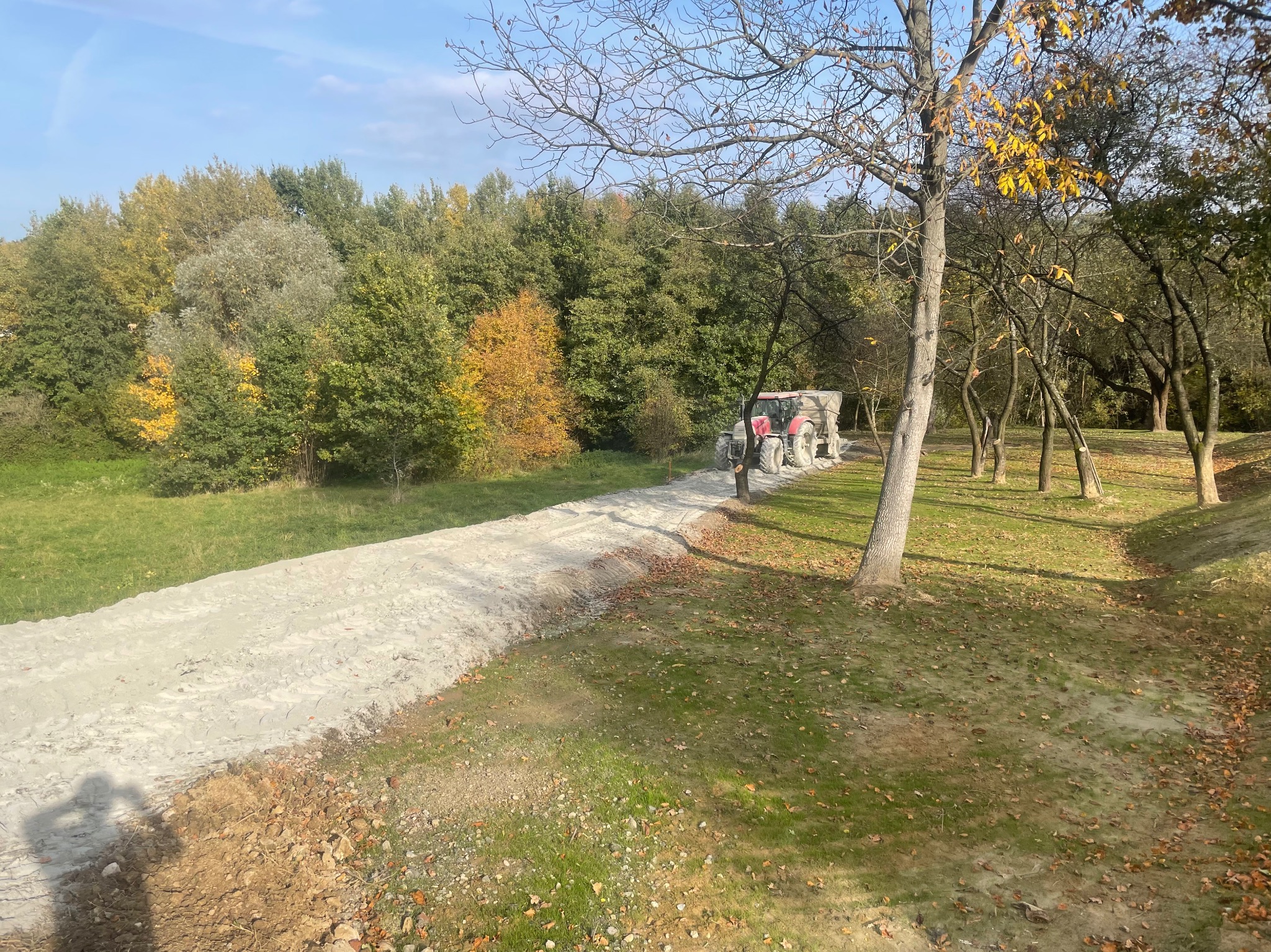 Czerwony traktor z przyczepą rozrzucający jasny materiał na leśnej drodze, widoczne ślady opon i drzewa w jesiennej scenerii.