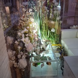 Julia Żukowska - Sprzątanie Biur w Nocy Koszalin