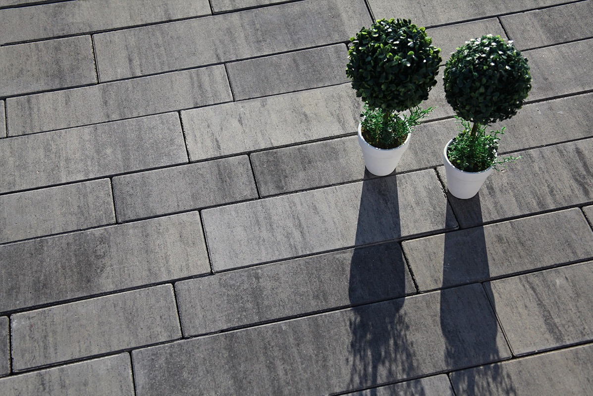 Ułożona szara kostka brukowa z dwoma małymi, okrągłymi krzewami w białych doniczkach, rzucającymi cień.