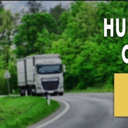 Wynajem koparek Frydrychowo 2