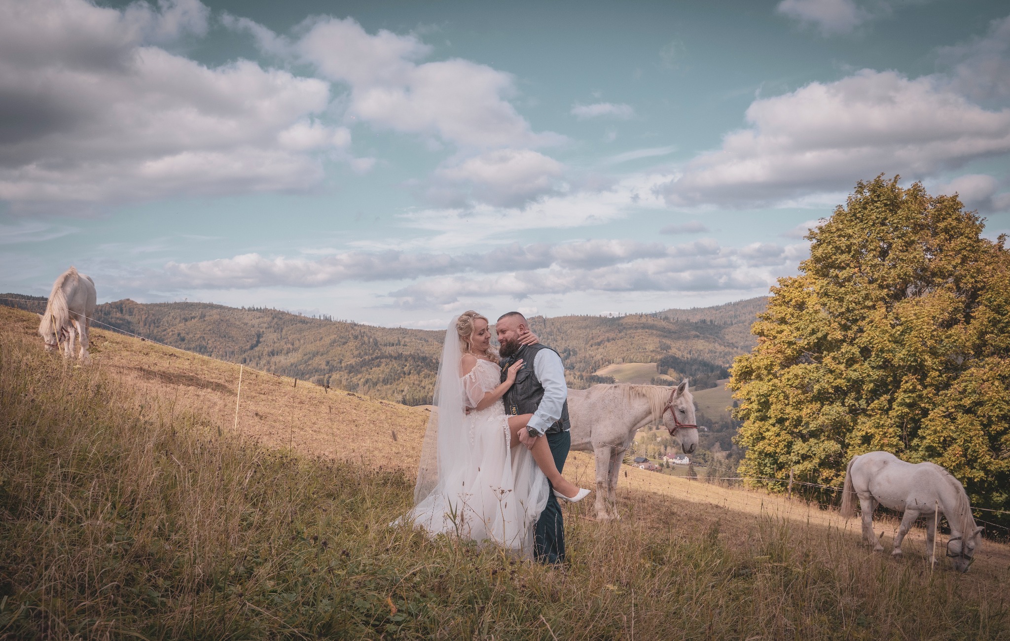 Para młoda w objęciach na łące z końmi w tle, panna młoda w białej sukni z welonem, pan młody w kamizelce, wzgórza i chmurne niebo w tle.