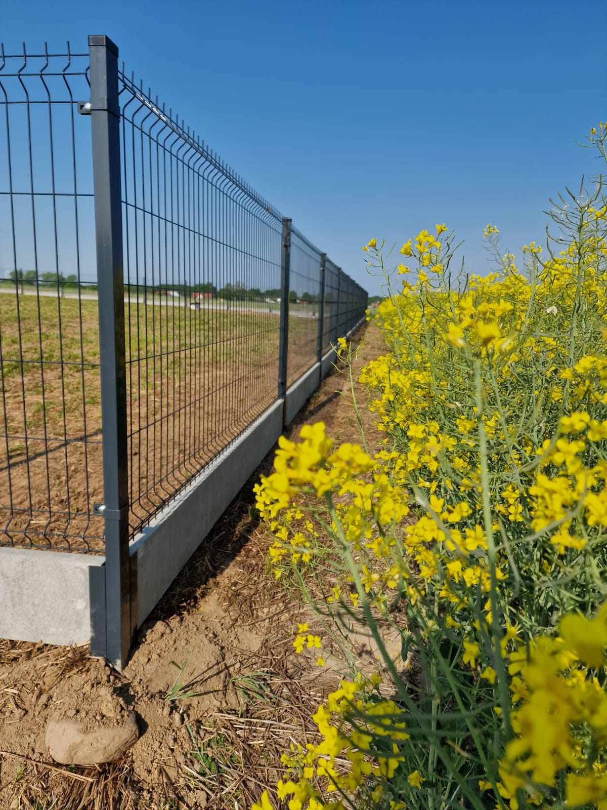 Długi, szary panel ogrodzeniowy z betonową podmurówką, widoczny na tle pola rzepaku w pełnym rozkwicie pod błękitnym niebem.