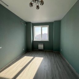 NAZBUD NAZARII HRYTSYNA - Pomalowane na oliwkowy kolor puste pomieszczenie z panelami podłogowymi, oświetlone promieniami słońca wpadającymi przez okno, z nowoczesną lampą sufitową.