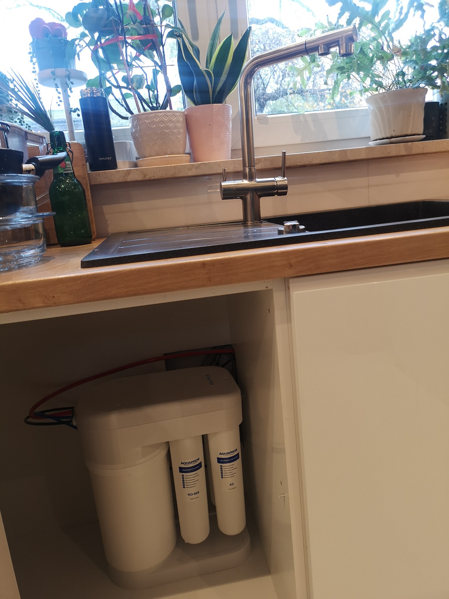 Kran kuchenny z filtrem wody Aquaphor widocznym w szafce pod zlewem, na blacie doniczki z roślinami.