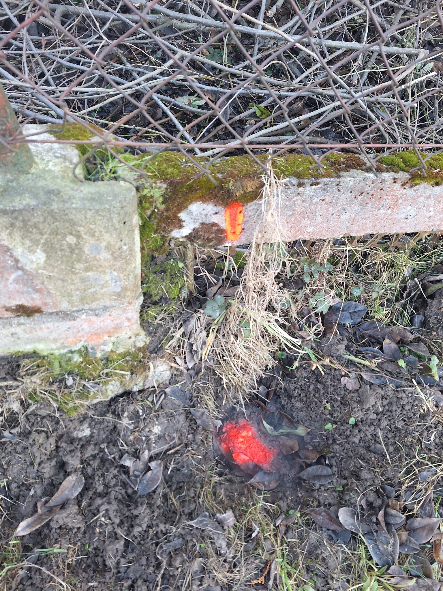 Wyznaczenie i odszukanie pkt granicznych