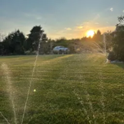 Zraszacze nawadniają równomiernie zielony trawnik o zmierzchu. W tle drzewa i rozmyty biały samochód, a w oddali zachodzące słońce.