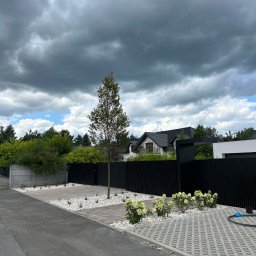 Trawa z rolki Mąkoszyce 4