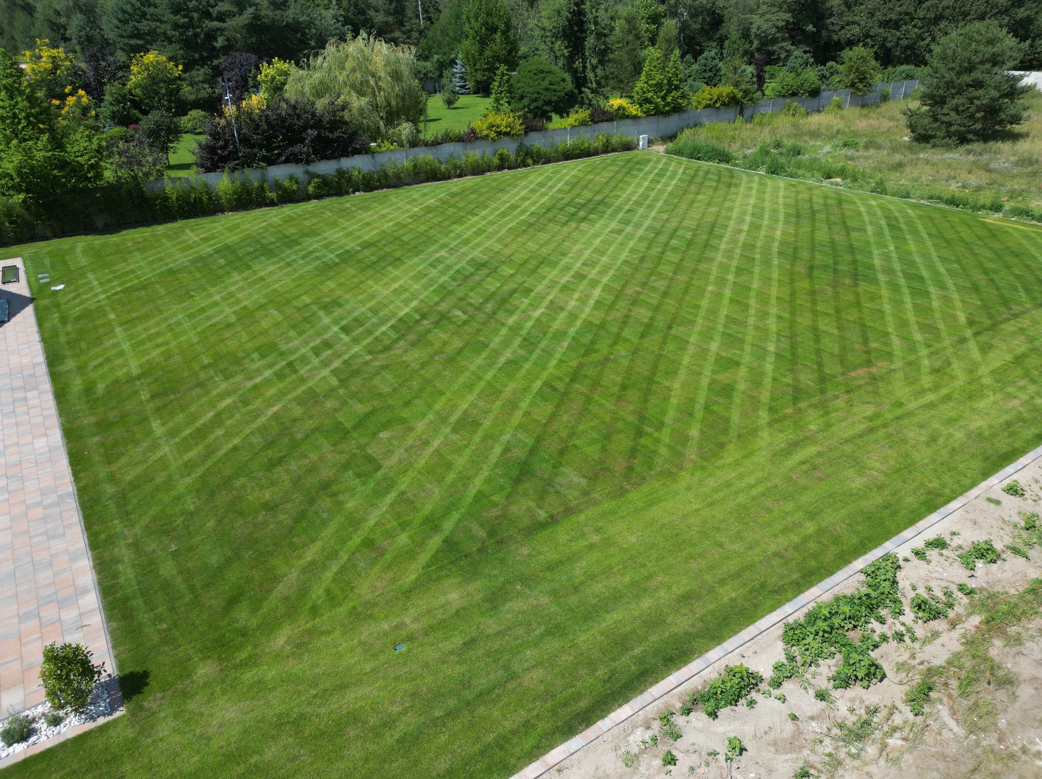 Rozległy, idealnie skoszony trawnik z regularnym wzorem pasów, widok z góry, obok tarasu z kostki brukowej i przygotowanego terenu pod nasadzenia, w tle drzewa i betonowe ogrodzenie.