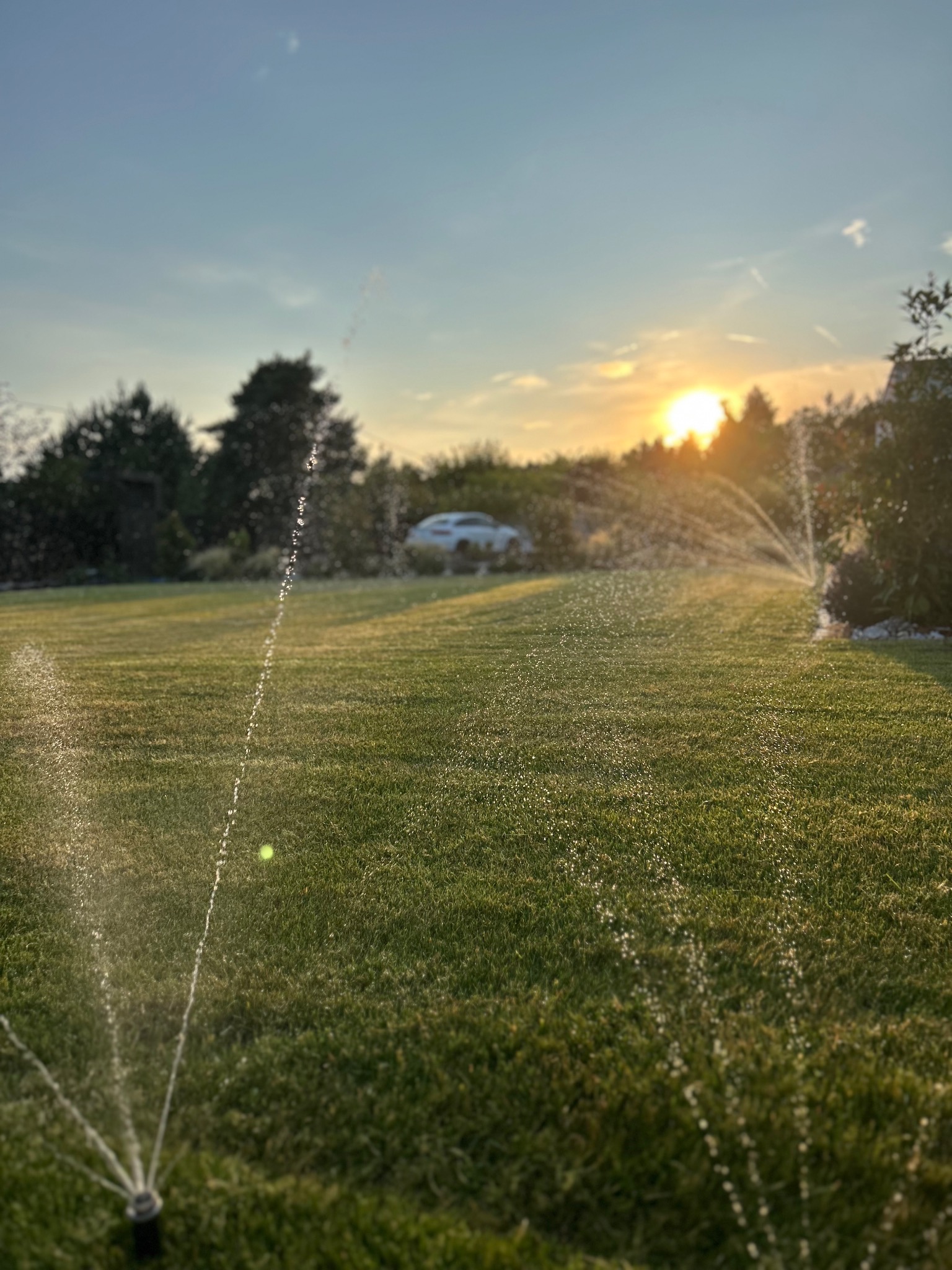 Zraszacze nawadniają równomiernie zielony trawnik o zmierzchu. W tle drzewa i rozmyty biały samochód, a w oddali zachodzące słońce.