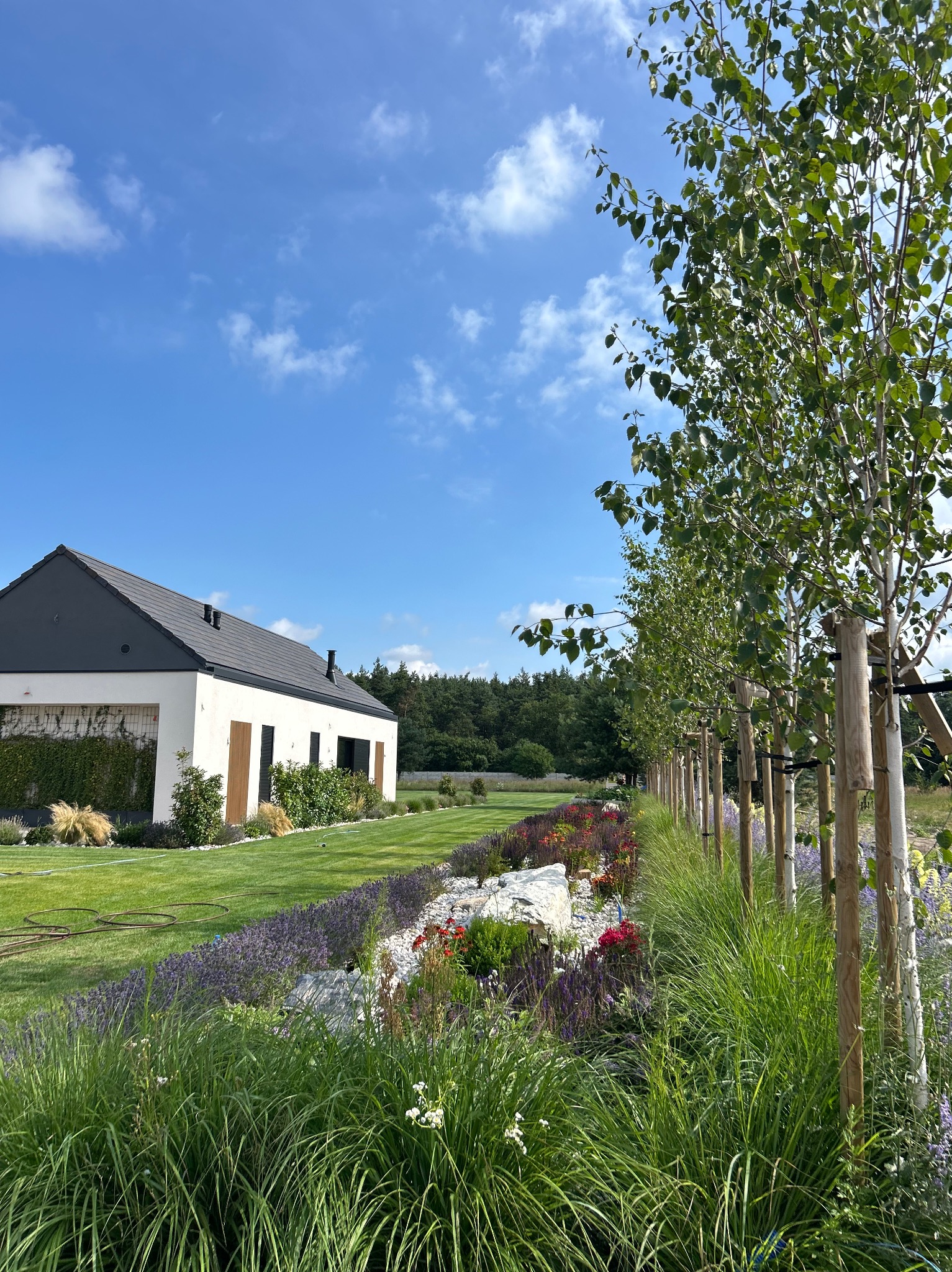 Nowoczesny ogród z równo przystrzyżonym trawnikiem, rabatami kwiatowymi i rzędem młodych drzewek, z białym domem w tle pod błękitnym niebem.