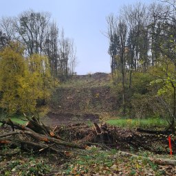 Ogrodnik Ostrołęka 1