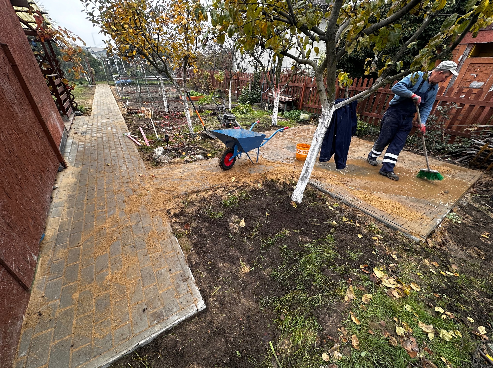 Pracownik w kombinezonie zamiata piasek z nowo ułożonej kostki brukowej na ścieżce ogrodowej, niebieska taczka i wiadro obok drzewa z bielonym pniem.