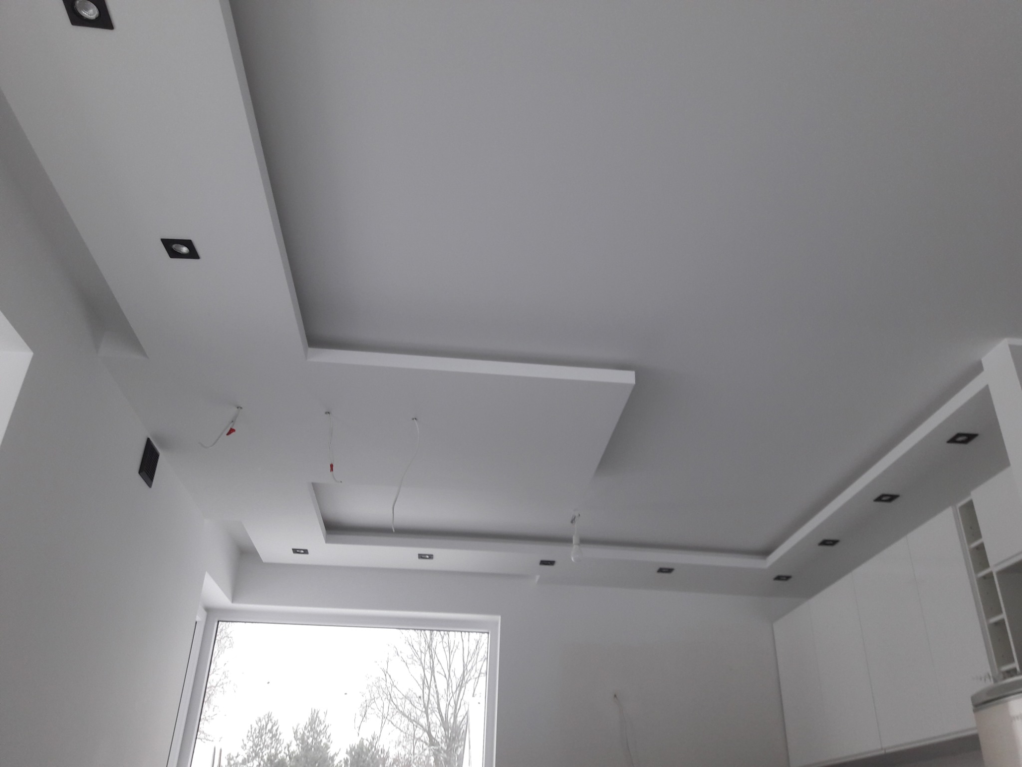 Biały sufit podwieszany z wbudowanymi czarnymi punktami świetlnymi, widoczne kable zwisające z sufitu, okno z widokiem na drzewa bez liści, minimalistyczny design wnętrza.