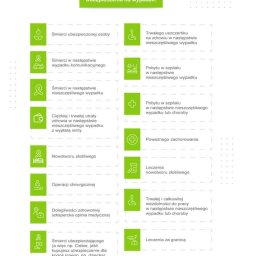 Piotr Iwaszko ERGO PRO - Grafika informacyjna Compensa Maxima prezentująca 17 dodatkowych ubezpieczeń na wypadek, z ikonami i krótkimi opisami poszczególnych wariantów ochrony.