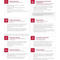 Ubezpieczenie firmy Kostrzyn nad Odrą 2