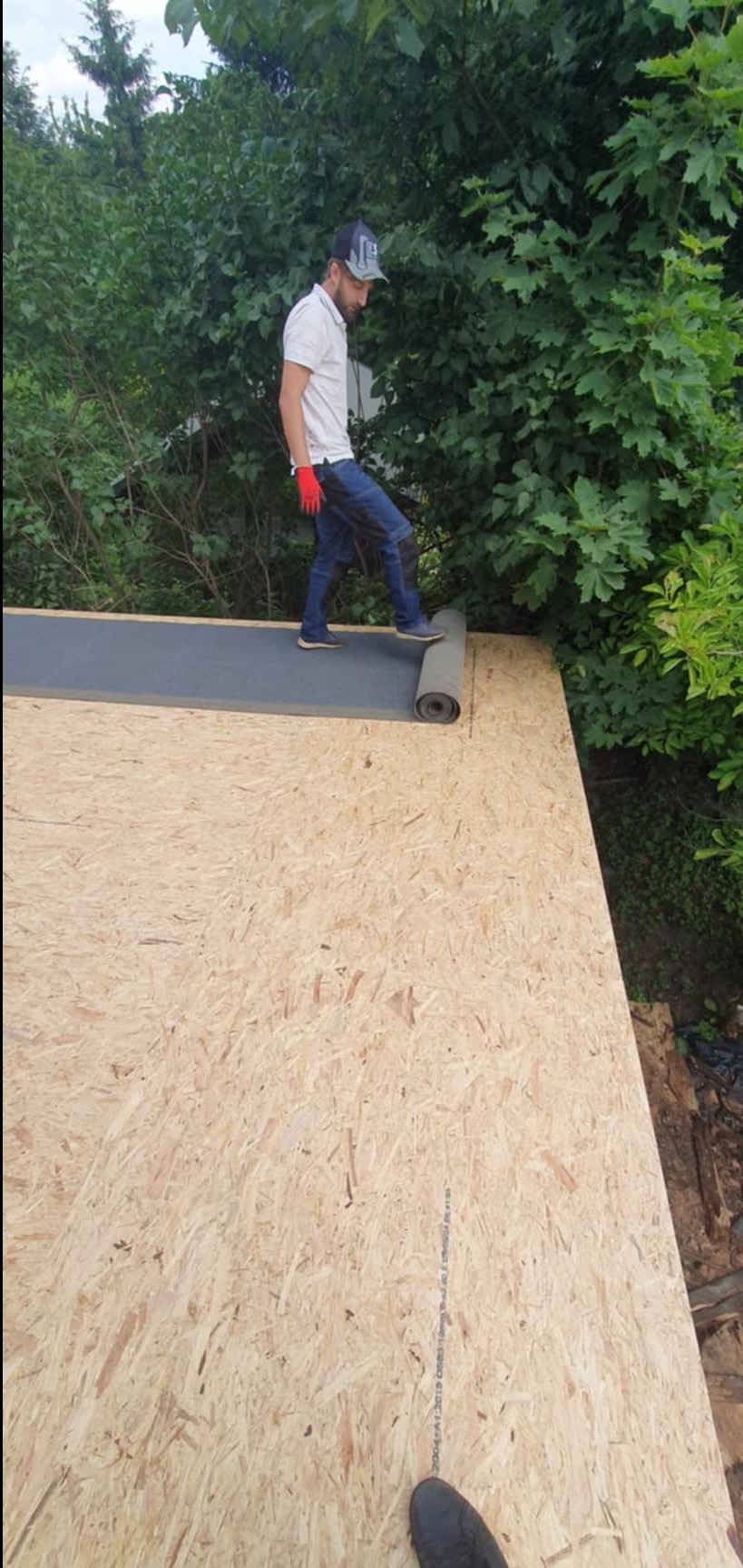 Pracownik w czerwonych rękawicach rozkłada rolkę czarnej papy na drewnianym poszyciu dachu, w tle zielona roślinność.