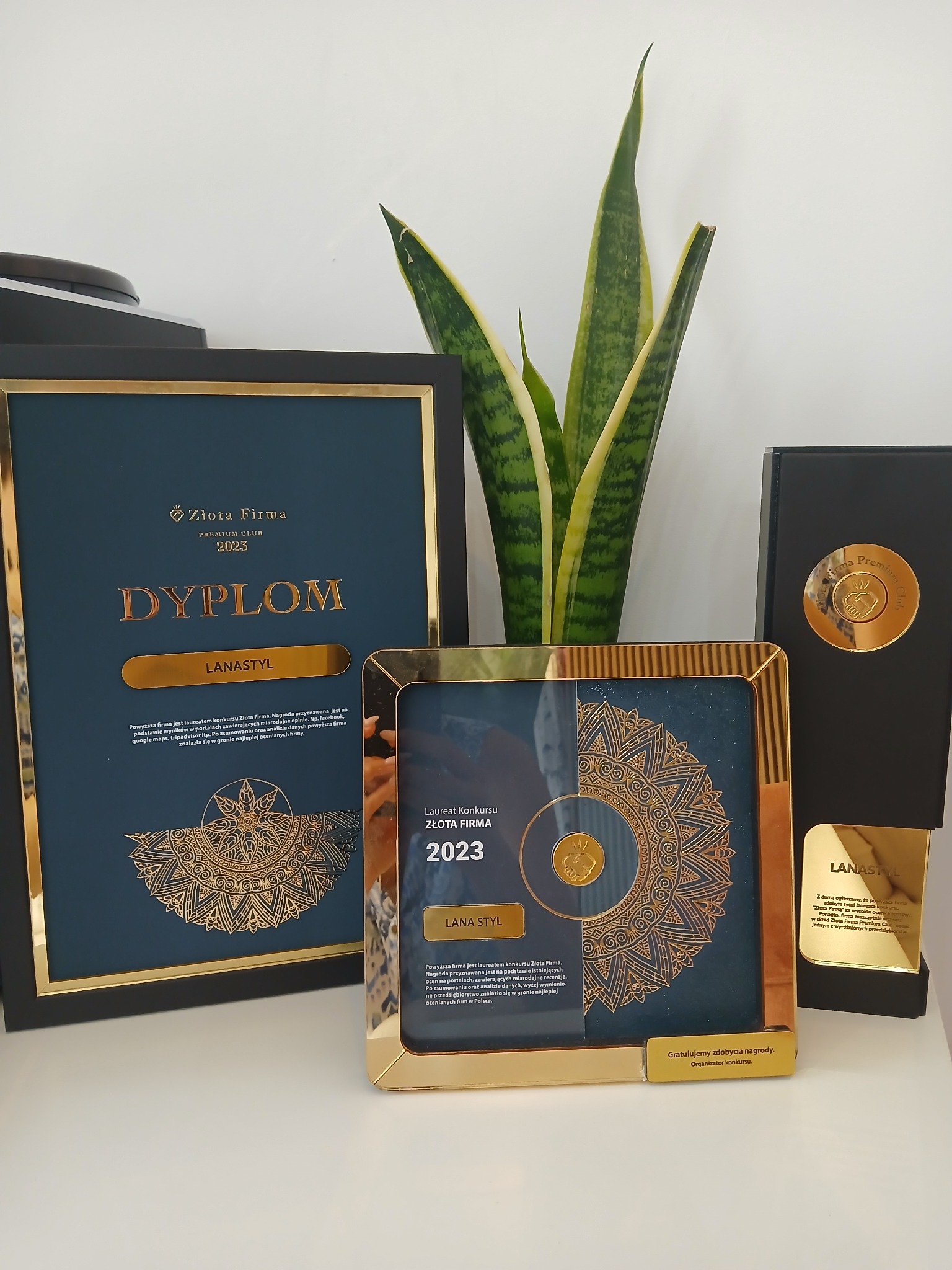 Dyplomy i statuetki konkursu Złota Firma Premium Club 2023, z dekoracyjną rośliną w tle, prezentowane na białym stole.