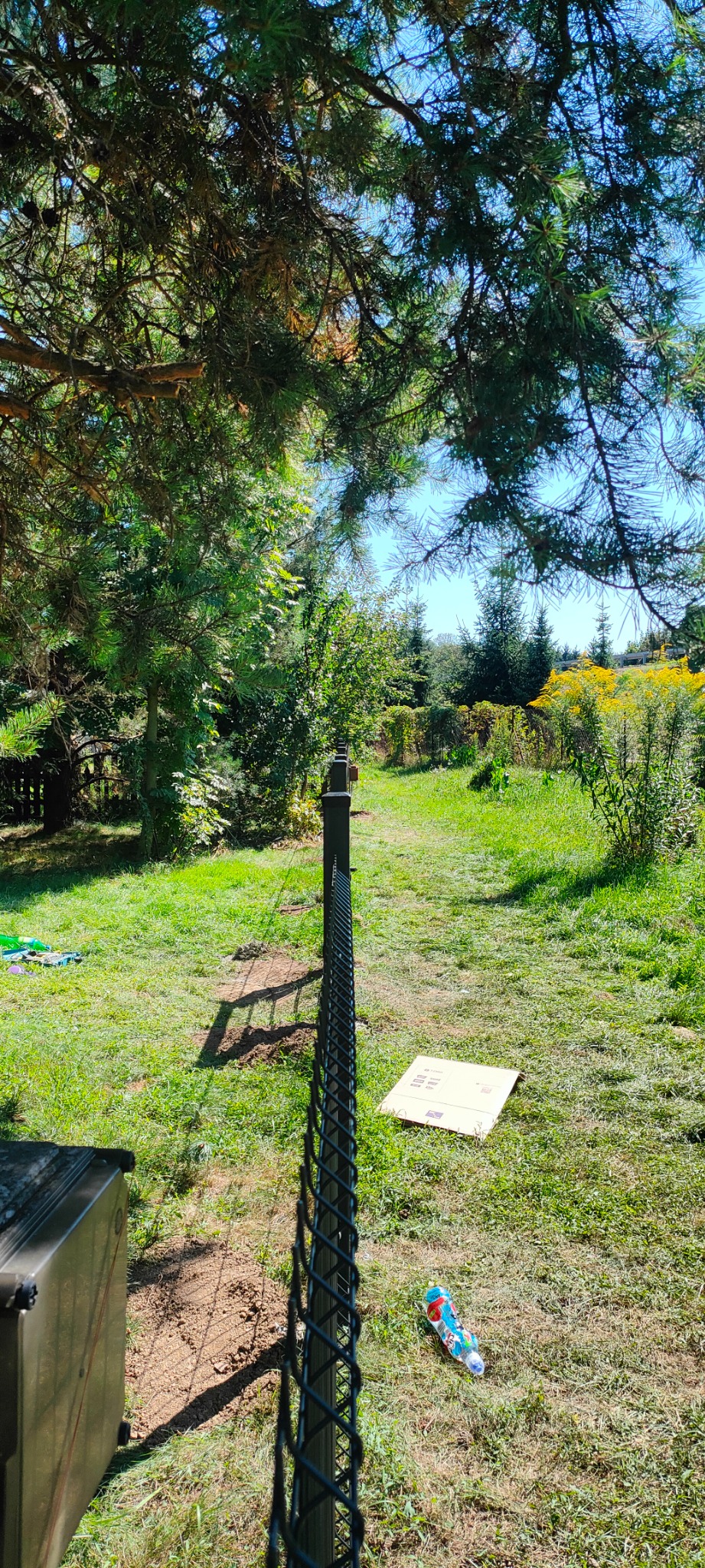 Metalowa siatka ogrodzeniowa w perspektywie, widok na zarośnięty ogród z żółtymi kwiatami w tle, na trawie leży karton i pusta butelka po napoju.