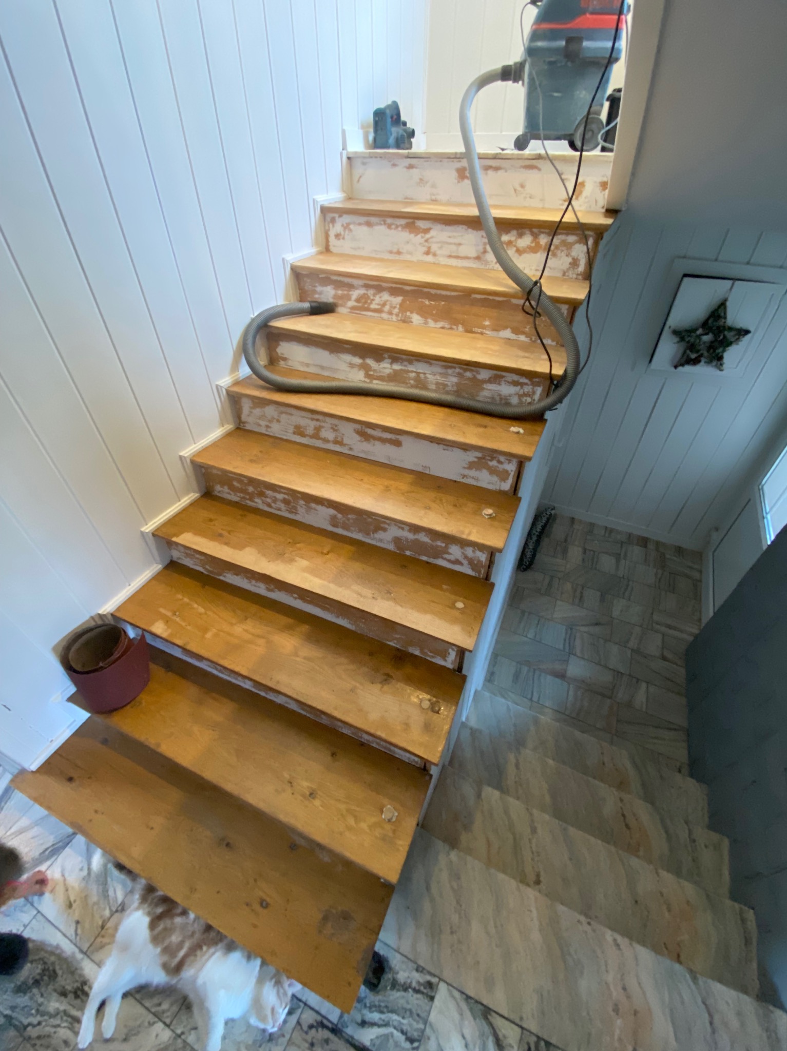 Cyklinowanie drewnianych schodów w trakcie renowacji, widoczny odkurzacz przemysłowy z wężem, częściowo usunięta stara farba, na dole schodów leży kot.