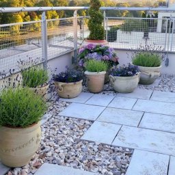 Eco Line Sp. z o.o. - Ogród w stylu greckim na tarasie bloku mieszkalnego.