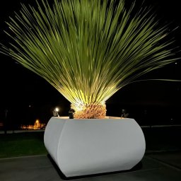 Eco Line Sp. z o.o. - Nowoczesna, biała donica o zaokrąglonym kształcie, oświetlona od dołu, z egzotyczną rośliną o długich, zielonych liściach, na tle nocnego ogrodu.