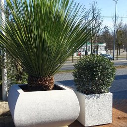 Pielęgnacja ogrodów Sopot 4