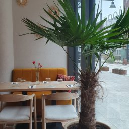 Pielęgnacja ogrodów Sopot 3