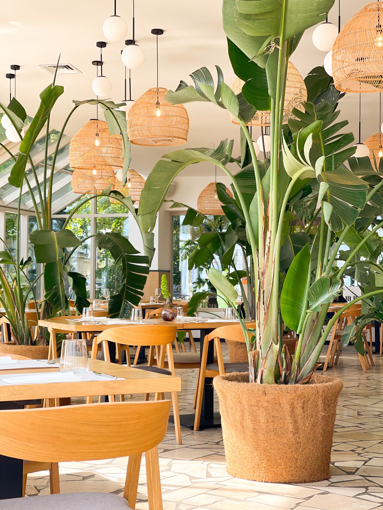 Wnętrze restauracji z dużymi roślinami w jutowych donicach, drewnianymi stołami i krzesłami oraz rattanowymi lampami wiszącymi.